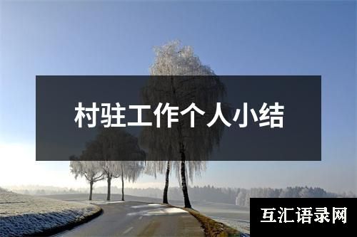 村驻工作个人小结