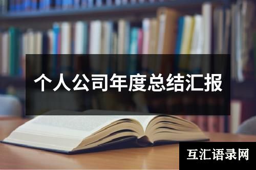 个人公司年度总结汇报