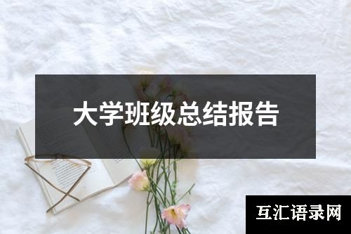 大学班级总结报告