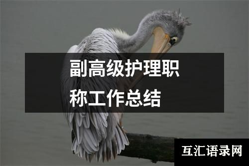 副高级护理职称工作总结