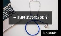 三毛的读后感500字