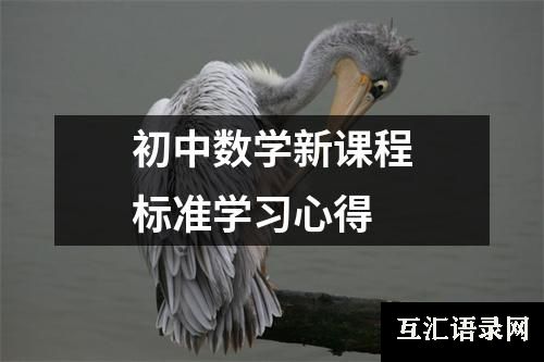 初中数学新课程标准学习心得