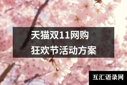 天猫双11网购狂欢节活动方案