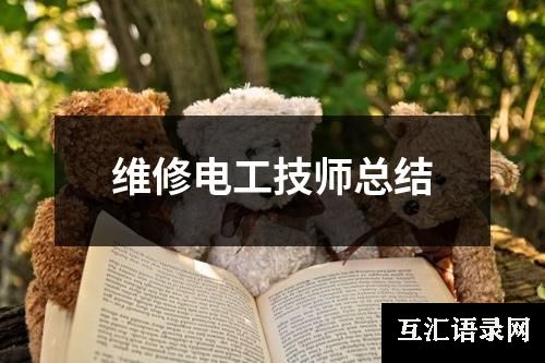 维修电工技师总结