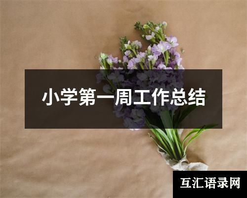 小学第一周工作总结