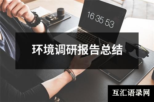 环境调研报告总结