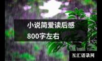 关于小说简爱读后感800字左右（精选16篇）