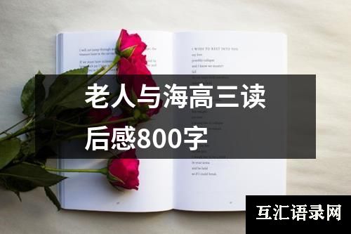 老人与海高三读后感800字