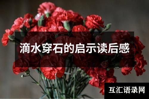 滴水穿石的启示读后感