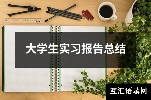 大学生实习报告总结