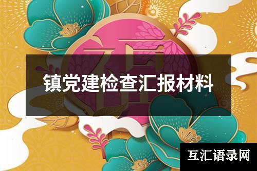 镇党建检查汇报材料