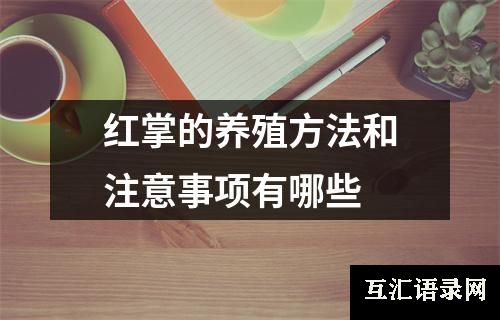 红掌的养殖方法和注意事项有哪些