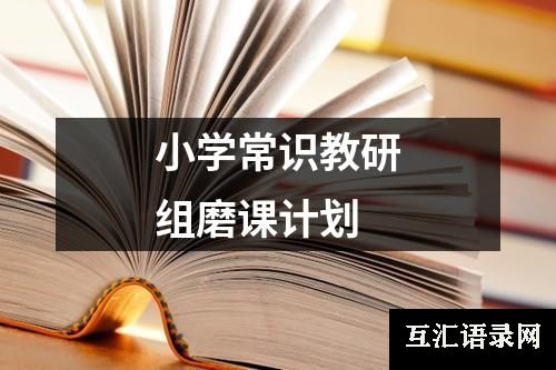 小学常识教研组磨课计划