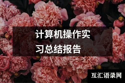 计算机操作实习总结报告