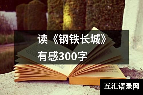 读《钢铁长城》有感300字