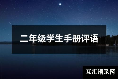 二年级学生手册评语