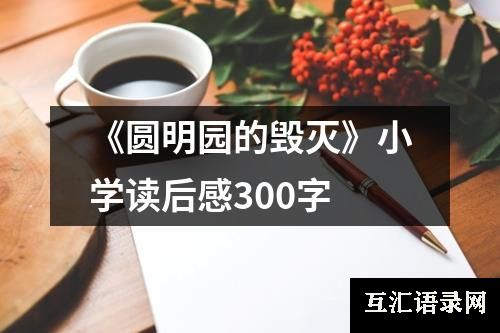 《圆明园的毁灭》小学读后感300字