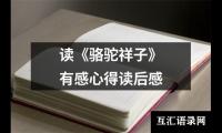 关于《汤姆索亚历险记》300字五年级读后感（集锦16篇）