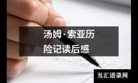 关于汤姆·索亚历险记读后感（共19篇）