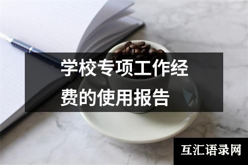 学校专项工作经费的使用报告