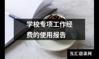 学校专项工作经费的使用报告