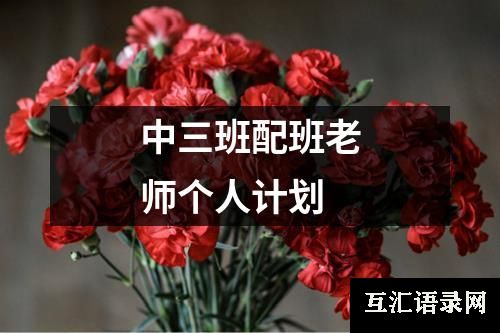 中三班配班老师个人计划