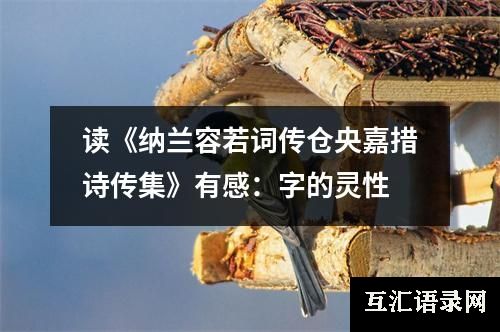 读《纳兰容若词传仓央嘉措诗传集》有感：字的灵性