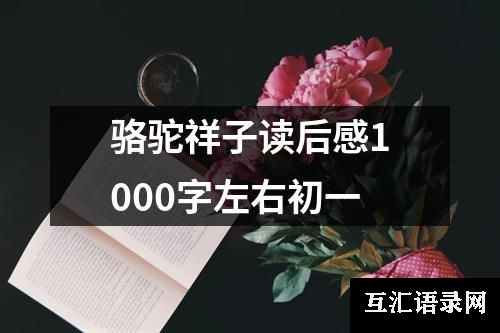 骆驼祥子读后感1000字左右初一