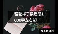 骆驼祥子读后感1000字左右初一