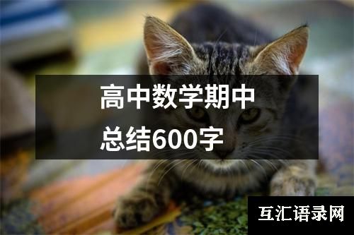 高中数学期中总结600字