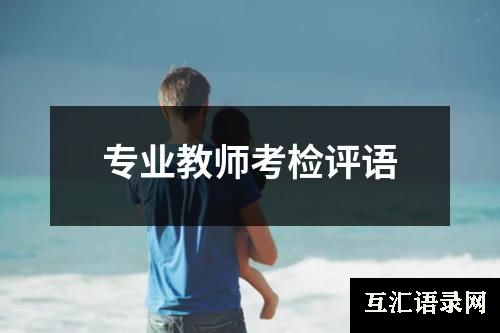 专业教师考检评语