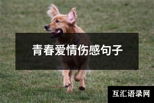 青春爱情伤感句子