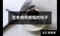 关于生老病死感悟的句子（精选3篇）