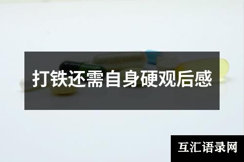 打铁还需自身硬观后感