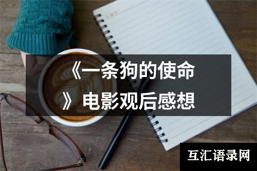 《一条狗的使命》电影观后感想