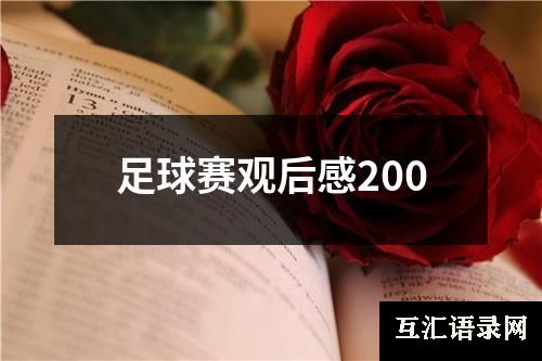 足球赛观后感200