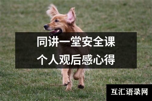 同讲一堂安全课个人观后感心得