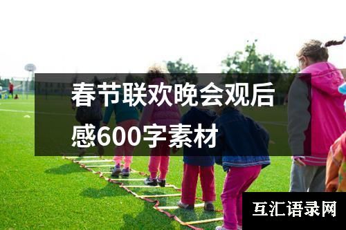 春节联欢晚会观后感600字素材