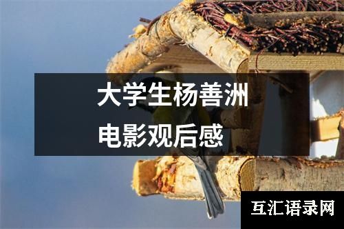 大学生杨善洲电影观后感