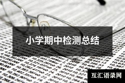 小学期中检测总结