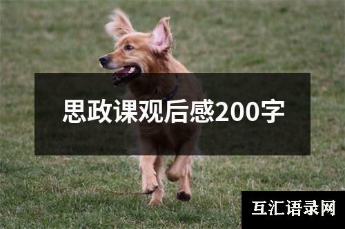 思政课观后感200字