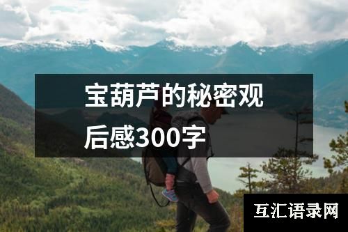 宝葫芦的秘密观后感300字