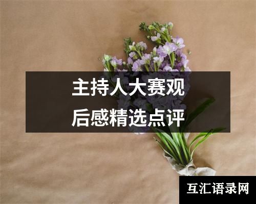 主持人大赛观后感精选点评