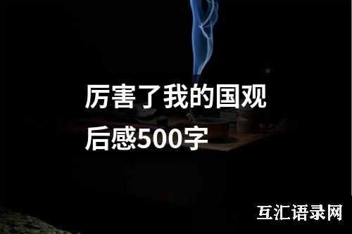 厉害了我的国观后感500字