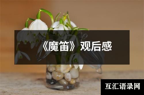 《魔笛》观后感