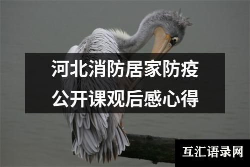 河北消防居家防疫公开课观后感心得