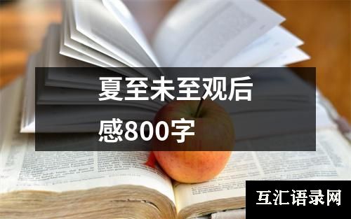 夏至未至观后感800字