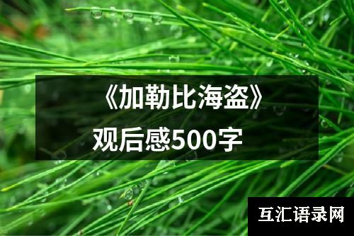 《加勒比海盗》观后感500字