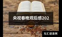 关于央视春晚观后感202（通用18篇）