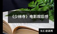 关于《少林寺》电影观后感（整理16篇）